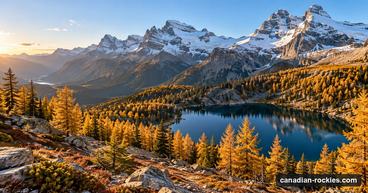 Golden larches on an alpine slope above a small lake with the first snow on the peaks